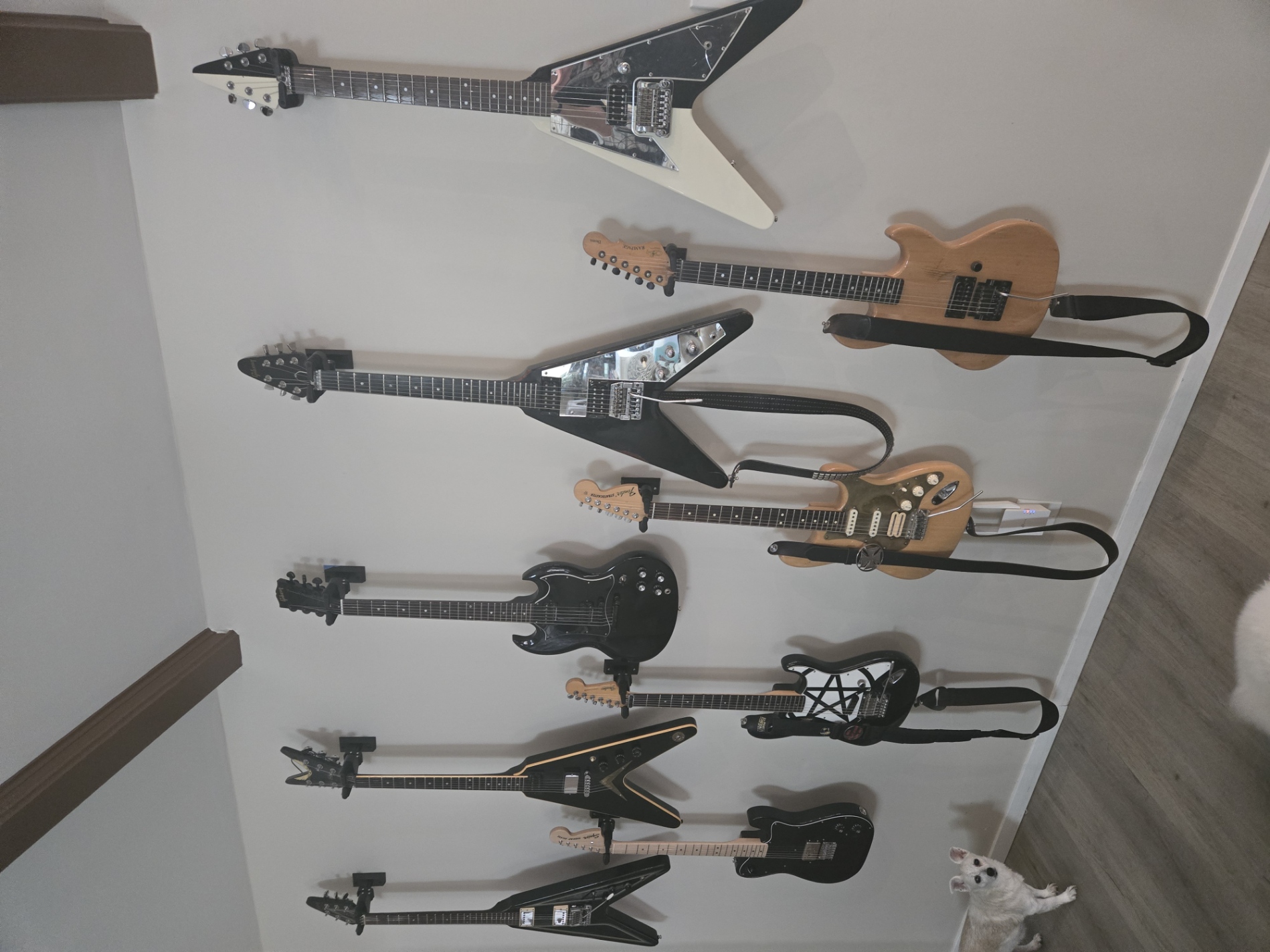 Wall-mounted guitar collection at Emphatic Audio